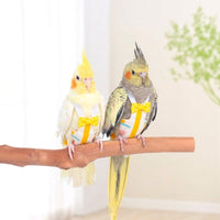 Parrot Nappy Bird Diaper with Fruit Pattern, Paper Bird Nappy and Bird Waste Bag, Adjustable Bird Hygiene for Parakeet Cockatiel and Budgies