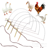 Stainless Steel Poultry Leg Bands for Chickens, Pheasants, and Ducks