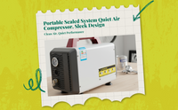 Ultra-quiet oil-free air compressor