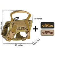 Vest Style Cat Harness and Leash Set with Bungee, Polyester Adjustable Cat Walking Harness with Handle and Patch Area for Secure Outdoor Pet Walking