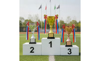 Metal Trophy Cup Tiered Trophy with Black Base Shiny Cup with Handles Shimmering for School Ceremonies
