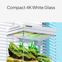 Desktop Clear Glass Aquarium with Circulating Filtration