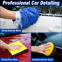 Full Detailing Car Cleaning Kit Microfibre Car Wash Kit with Wheel Brush