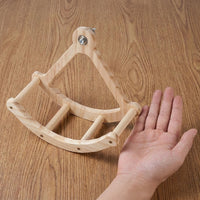 Pirate Ship Parrot Toy with Mirror, Solid Wood Play Stand with 2 Perches, Wooden Parrot Toys and Parrot Perch Gym for Parakeets Cockatiels Bird Play