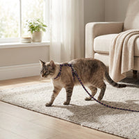 Cat Harness and Leash Walking Set, Soft Mesh Harness Leash with 2 Adjustment Points, Size S Training Tool for Outdoor Cat, Floral Pattern Pink