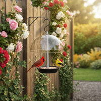 Hanging Bird Feeder Weather-Resistant Clear Bird Feeder Detachable Parts Outdoor Decor for Garden, Patio