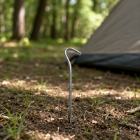 tent stakes