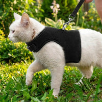 Cat Harness and Leash Set, Polyester Vest Walking Cat Harness for Outdoor Adventures, Customizable Sizing for Secure and Comfortable Leash Walking