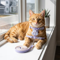 Small Dog Harness and Pet Walking Leash Set, Decorative Polyester H-Shape Pet Walking Harness, 1.2 Meter Non-Retractable Small Dog Leash Travel