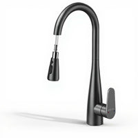 Brass pull-down faucet with sprayer