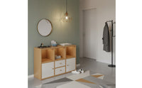 Solid Wood Core Floor Standing Bookshelf Deepened Shelves Freestanding Display Shelf Stable Splayed Legs Modular Cube Organizer Modular Combination for Entryway