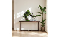 Artificial Evergreen Bonsai Zen Artificial Bonsai Tree Plant Tabletop Scenic for Living Room, Entryway