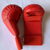 Boxing Gloves for Adults, Karate Protective Gear, Fitness and Combat Training