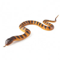 Animal Figurine Detailed Animal Model Display Ornament Realistic Figurines Sculpted for Students, Home Decoration, Classroom