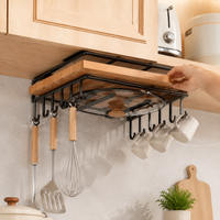 under-cabinet kitchen organizer