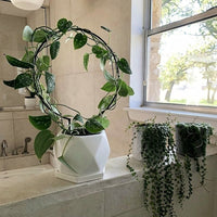Iron Plant Supports for Outdoor Plants and Indoor Plants, 10 Pack of Circular Metal Trellis Stakes with Ties, Monstera Support, Anti-rust Coating