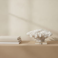 Coral Sculpture with Acrylic Base Textured Coral Ornament Modern for Office