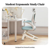 Adjustable Ergonomic Student Chair Spinal Supportrest Desk Seating Stable Base Space-Saving for Students, Children, Writing