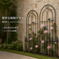 Garden Trellis, For Roses, Training, For Climbing Roses, Iron Fence, 50cm x 120cm, Metal Trellis