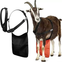 Adjustable Anti-Mating Apron for Goats and Sheep, Nylon, Black or Orange