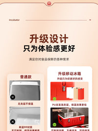 Insulated Food Container with Dividers for Commercial Use