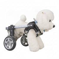 With Hind-Leg Support Lightweight Adjustable Pet Two-Wheel Mobility Aid for Dogs, Small Pets, Walks, Rehabilitation, Indoor Use