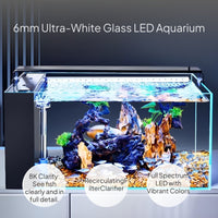 Desktop Glass Aquarium with Side Filter and LED Lighting