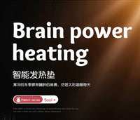 汽车加热坐垫冬季毛绒单片卡通车载12v电热座椅垫后排保暖车座垫