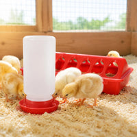 Chick Feeder and Waterer Set Sturdy Quail Chick Feeder Even Surface