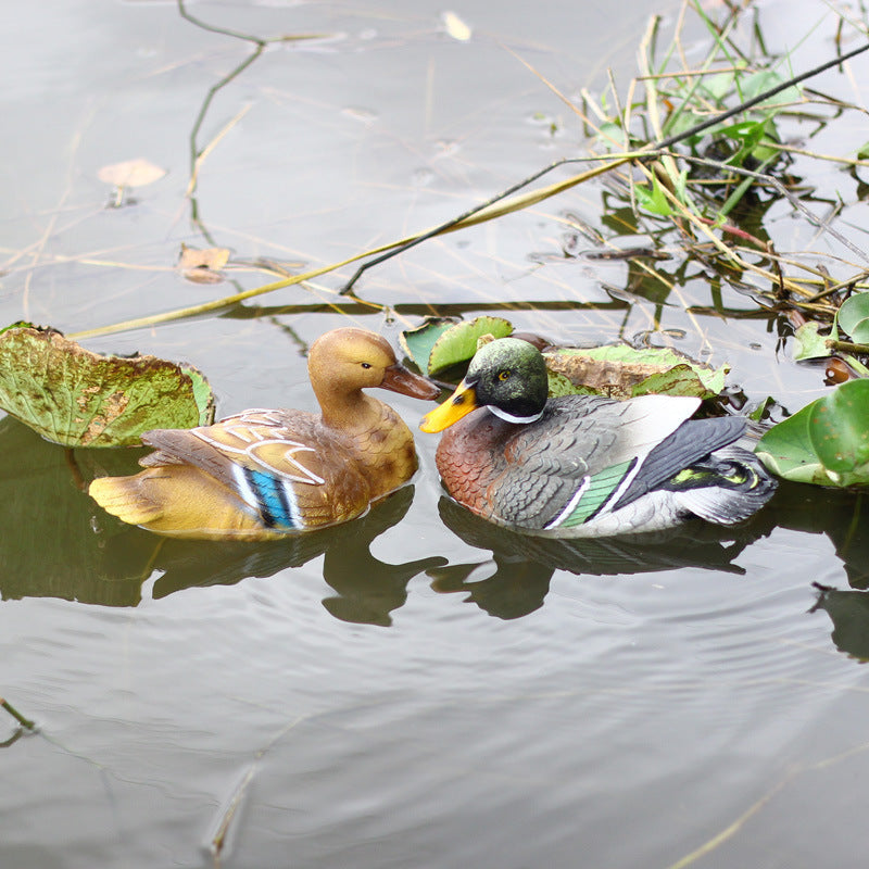 Mandarin Duck PAIR