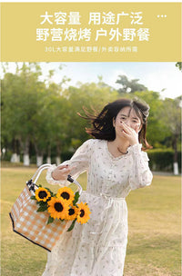 Insulated Picnic Basket, Foldable Outdoor Cooler Bag, Portable Lunch Bag