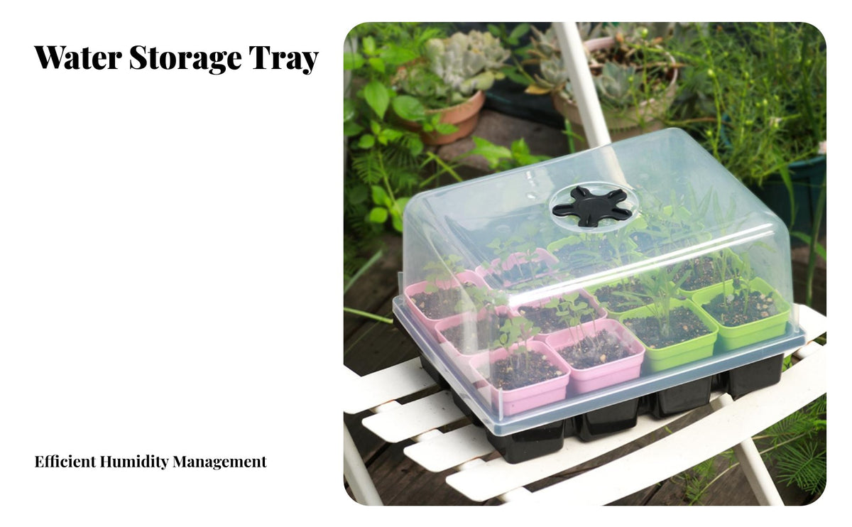 12 Cell Seedling Tray with Dome Transparent Lid Growing Kit Reusable Mini Greenhouse Propagator for Beginners