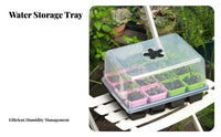 12 Cell Seedling Tray with Dome Transparent Lid Growing Kit Reusable Mini Greenhouse Propagator for Beginners