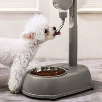 Raised Pet Water Bottle Easy to Clean Elevated Pet Waterer Dog Water Bottle for Young Dogs, Kittens
