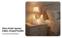3 Pieces LED Lighted Spirit Ornaments