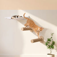 Cat Hammock Wall Mounted Cat Shelf with scratching surface, Canvas Wooden Bed for Indoor Cats, Simple Style Climbing and Play Wall Space