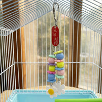 Parrot Toy 3 Pack Mixed Materials Hanging Bird Toys, Iron Cage Ornament and Gnaw Toy, Parrot Cage Accessories for Enrichment and Entertainment