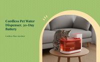 Battery cat water dispenser, filter