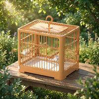 Small Bird Cage and Portable Bird Carrier with Handle, Rectangular PP Material Medium Size Indoor Outdoor Enclosure, Budgie Parakeet 2 Perches