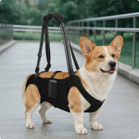 Rehab Support Harness Black Pet Aid Soft for Rehabilitation