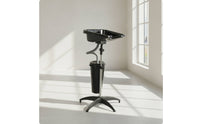 Portable Shampoo Bowl with Stand Stable Mobile Shampoo Basin Comfortable Washing Unit for Hairstylists
