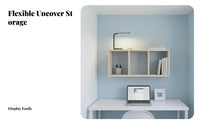 Single-Door surface Cabinet with accessible Shelf tooltooland complimentary installation for Living Room