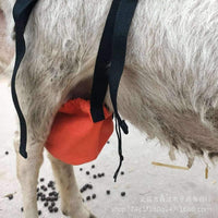 Sheep Chest Support Harness to Prevent Sagging