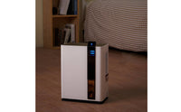 Compact Home Dehumidifier Portable Dehumidifier with Water Tank Lightweight Appliance Automatic Shut-off for Bedroom, Dorm Room, Wardrobe