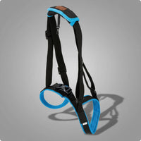 Hind Leg Support Harness Stair Assistance Rear Leg Support Harness for Stairs
