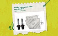 Xenon bulbs, waterproof, plug & play