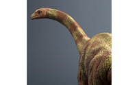Large Size Brontosaurus Model Hand Painted Realistic Dinosaur Model PVC Material for Children, Collectors, Cake Topper