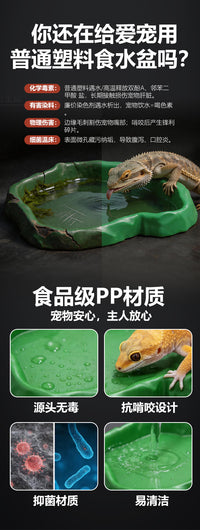 Reptile Water Bowl - Rock-Like Design for Feeding and Drinking