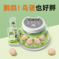 孵化器小型家用型全自动智能小鸡鹦鹉鸽子鸟蛋小飞碟孵蛋器孵化箱