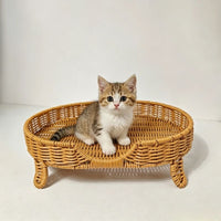 Vintage Rattan Cat Bed with Hanging Hammock - Summer Cooling Mat for Cats